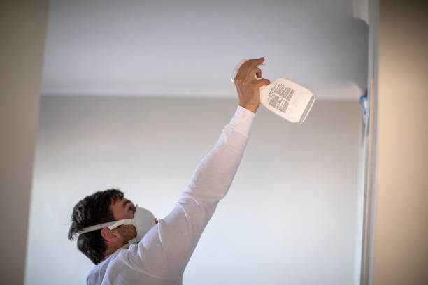 Best Commercial Mold Remediation in Grosse Pointe Woods, MI