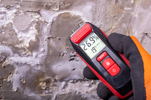 Best Kitchen Mold Remediation in Grosse Pointe Woods, MI